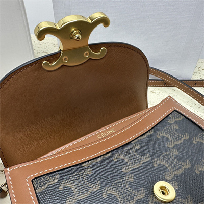 Ce**e mini besace clea in triomphe canvas and calfskin tan