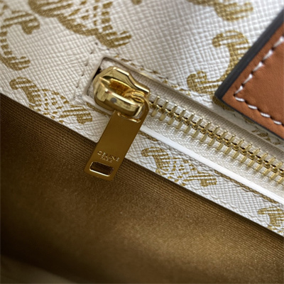 Ce**e small vertical cabas in triomphe canvas and calfskin with Ce**e print white