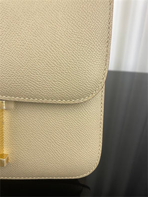 Constance Bag Epsom Leather 24CM Gold/Silver Tone Metal In Trench Color HS