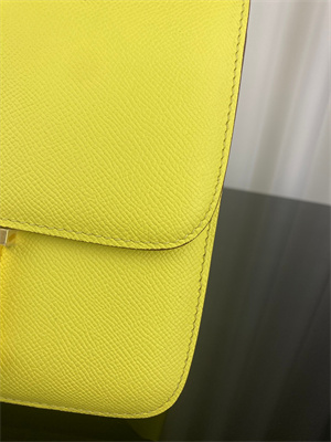 Constance Bag Epsom Leather 24CM Gold/Silver Tone Metal In Lime Color HS
