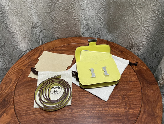 Constance SLIM Wallet With Strap Epsom Leather Silver Tone Metal In Yellow Color HS