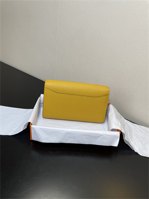 Constance To Go Wallet Epsom Leather Silver Tone Metal In Jaune Amber Color HS