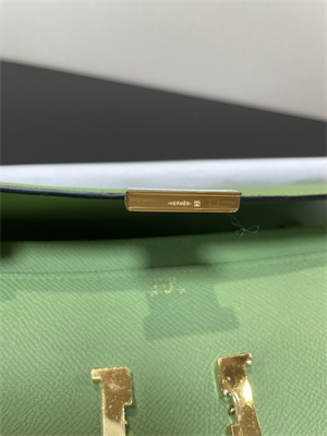 Constance To Go Wallet Epsom Leather Gold Tone Metal In Vert Criquet Color HS