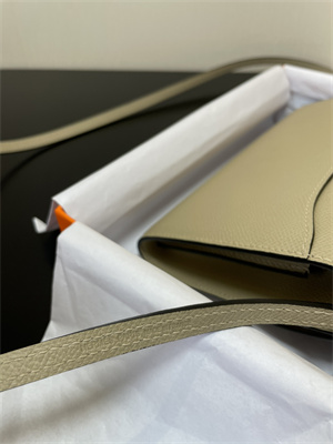 Constance To Go Wallet Epsom Leather Silver Tone Metal In Trench Color HS