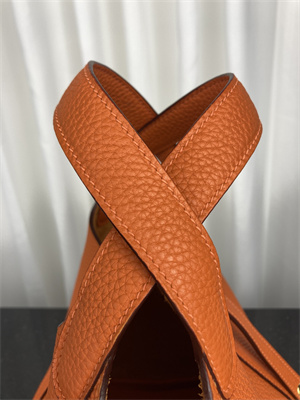 Picotin Lock Bag Taurillon Clemence Leather 18/22CM Gold/Silver Tone Metal In Orange Color HS