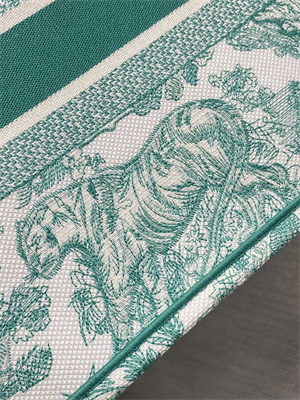 CD Medium Book Tote Toile de Jouy Embroidery Green