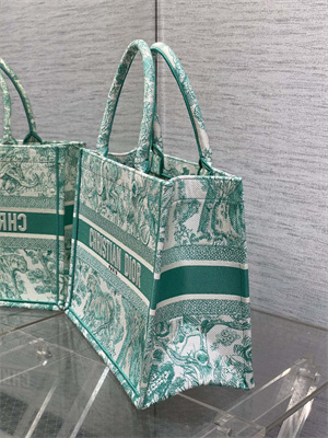 CD Medium Book Tote Toile de Jouy Embroidery Green
