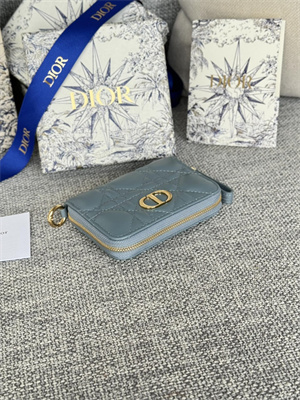 cd caro zippy card holder S*pple cannage calfskin blue color s5034