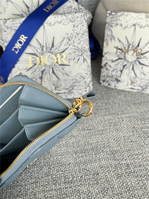 cd caro zippy card holder S*pple cannage calfskin blue color s5034