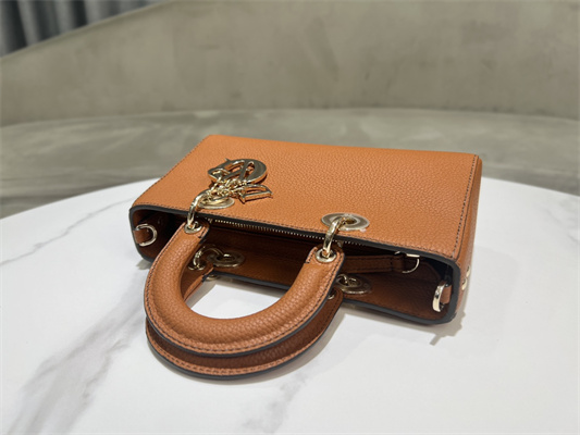 cd lady d-sire small my abcD*or bag bull leather brown