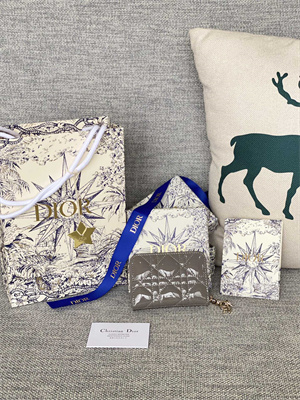 cd voyageur small coin purse S*pple cannage patent calfskin grey s0985