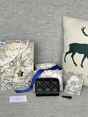 cd caro scarlet wallet S*pple cannage lambskin black s5032