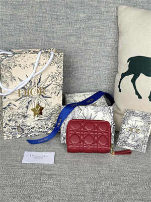 cd caro scarlet wallet S*pple cannage lambskin red s5032