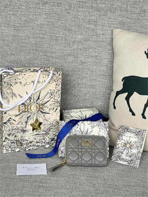 cd caro scarlet wallet S*pple cannage lambskin grey s5032