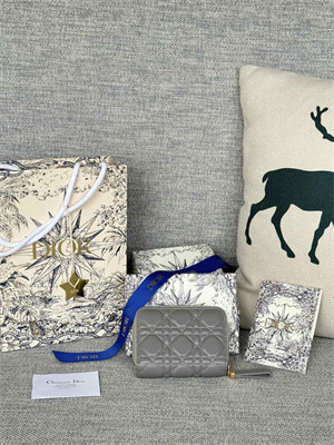 cd caro scarlet wallet S*pple cannage lambskin grey s5032