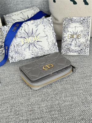 cd caro scarlet wallet S*pple cannage lambskin grey s5032