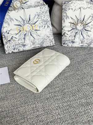 cd caro glycine wallet S*pple cannage calfskin s5132