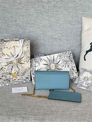 CD Long Saddle Wallet With Chain Grained Calfskin Blue