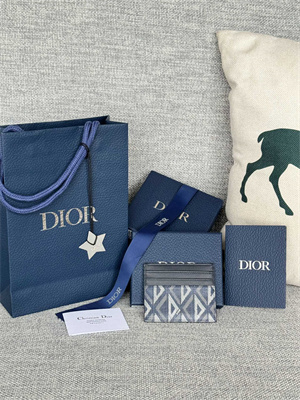 cd card holder blue cd Di*m*nd canvas