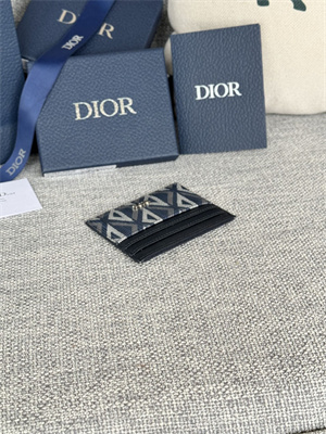 cd card holder blue cd Di*m*nd canvas