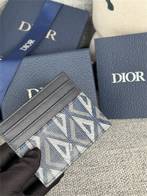 cd card holder blue cd Di*m*nd canvas