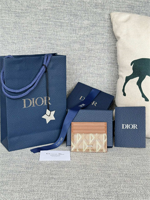 cd card holder brown cd Di*m*nd canvas