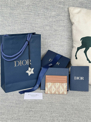 cd card holder brown cd Di*m*nd canvas