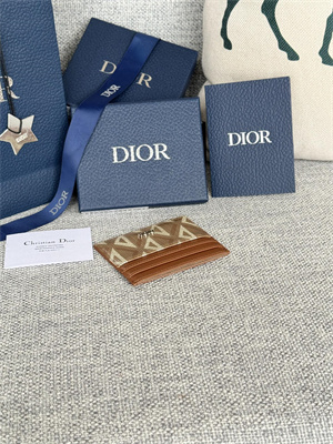 cd card holder brown cd Di*m*nd canvas