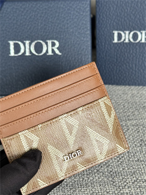 cd card holder brown cd Di*m*nd canvas