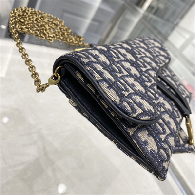 CD Long Saddle Wallet With Chain Blue Oblique Jacquard