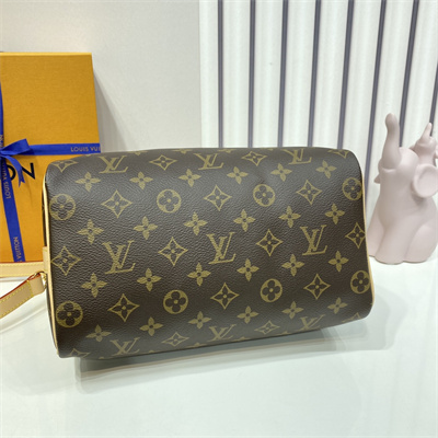 L.V Speedy Bandoulière 25 Monogram Canvas M41113