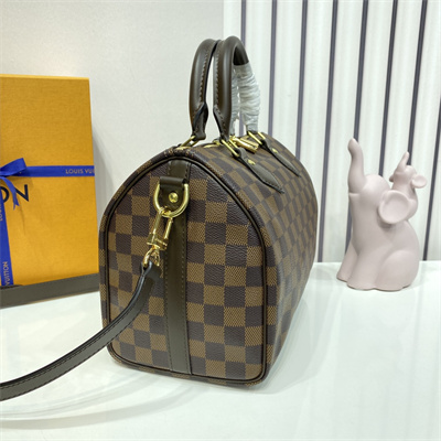 L.V Speedy Bandoulière 25 Damier Ebene N41368