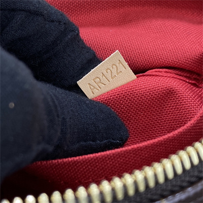 L.V Speedy Bandoulière 20 Monogram Canvas M46222