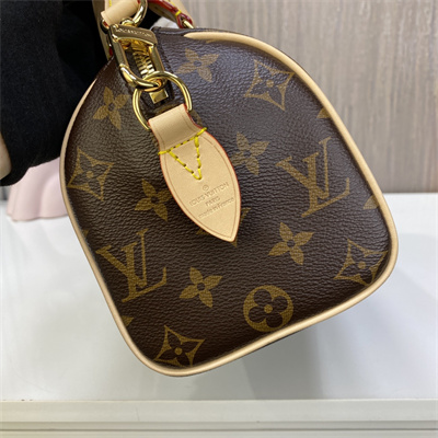 L.V Speedy Bandoulière 20 Monogram Canvas M46222