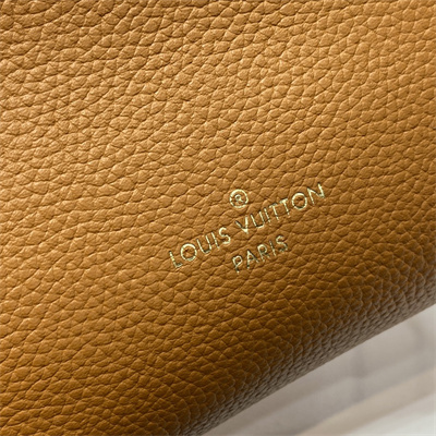 LV Side Trunk PM Bag Grained Calfskin Brown M23818