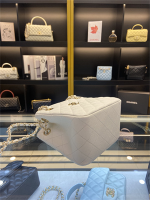 Cha.nel BUCKET BAG Grained Calfskin Gold-Tone Metal White AS3176