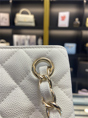 Cha.nel BUCKET BAG Grained Calfskin Gold-Tone Metal White AS3176