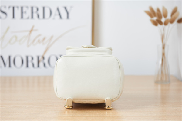 Cha.nel Duma Backpack Lambskin Gold Tone Metal White AS2908