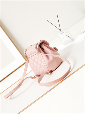 Cha.nel Duma Backpack Lambskin Gold Tone Metal Pink AS2908
