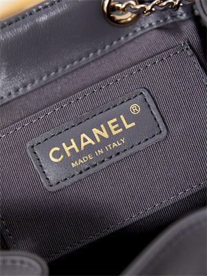 Cha.nel Duma Backpack Lambskin Gold Tone Metal Grey AS2908