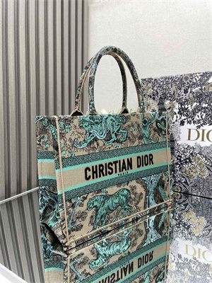 cd medium D*oriviera D*or book tote raffia with aquamarina toile de jouy sauvage embroidery green