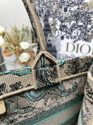 cd medium D*oriviera D*or book tote raffia with aquamarina toile de jouy sauvage embroidery green