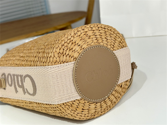 Chloe Small Woody Tote Bag In Nature Fibers 6865