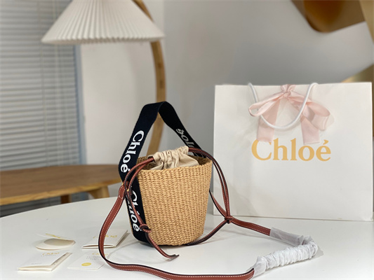 Chloe Small Woody Tote Bag In Nature Fibers 6865