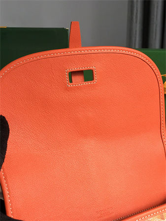 belvedere pm bag Go*ardine canvas & decize taurillon leather orange