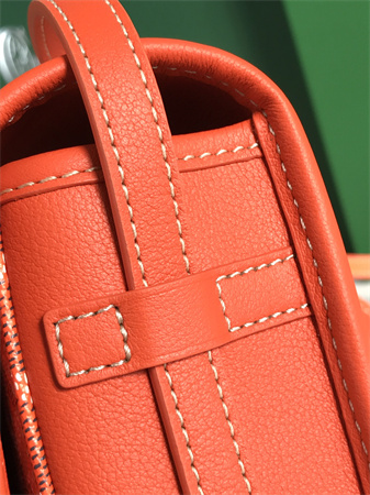 belvedere pm bag Go*ardine canvas & decize taurillon leather orange