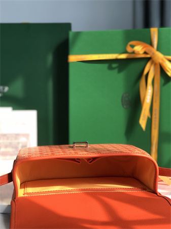 belvedere pm bag Go*ardine canvas & decize taurillon leather orange