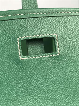 belvedere pm bag Go*ardine canvas & decize taurillon leather green