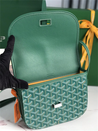 belvedere pm bag Go*ardine canvas & decize taurillon leather green