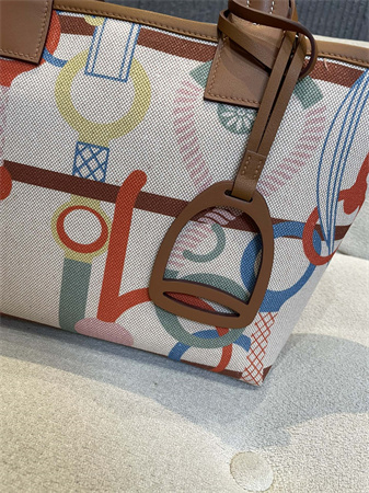 Her.mes Steeple Handbag Hplume Canvas and Swift Calfskin multicolor Printing HS